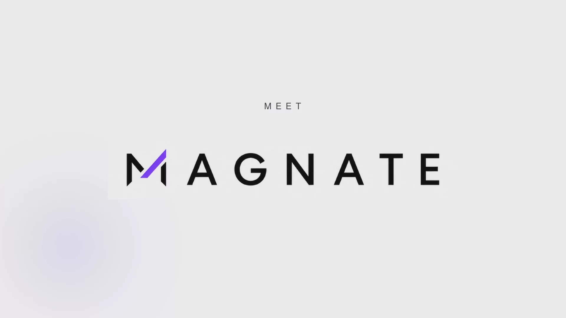 Magnate image 1