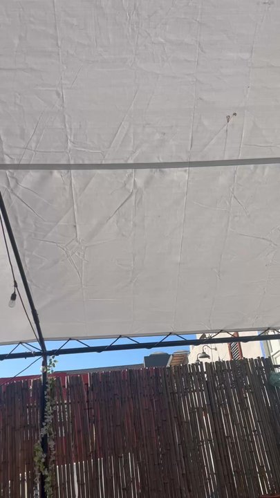 El Patio - Bars Near Me - Berkeley, California