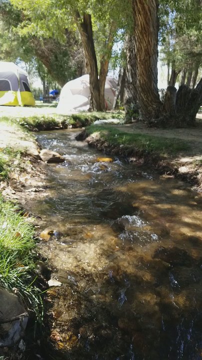 Brown's Millpond Campground - Campgrounds Near Me - Bishop, California