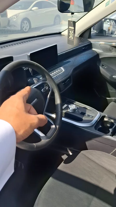 هافال جوليان Basic 2024