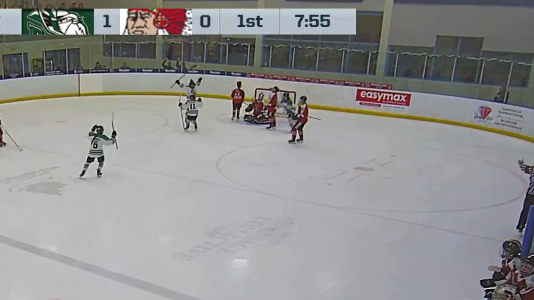 Two back-to-back goals during the playoffs for Jane