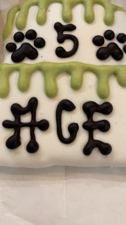 Three Dog Bakery - Celebrating Aces's 5th birthday with doggy treats all day! - Pet Stores Near Me - Arlington, Texas