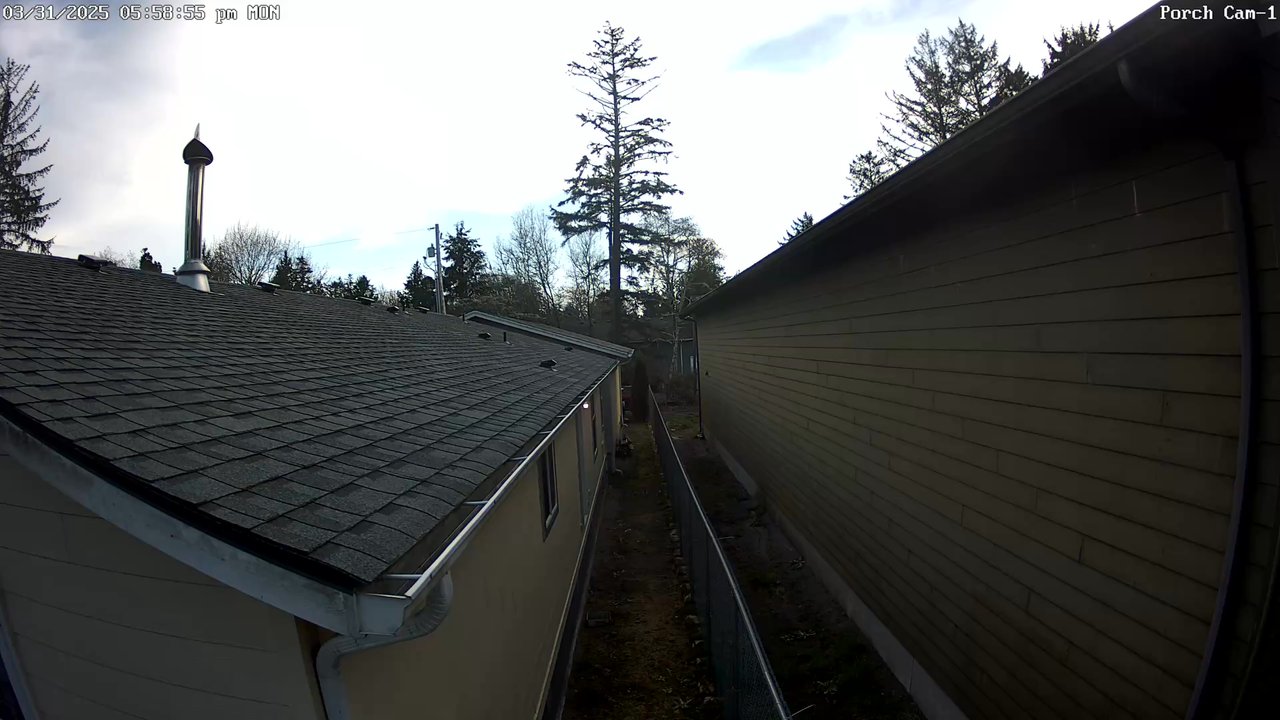 Tnt Tree Service - Another view of tree in extremely tight situation - Tree Services Near Me - Ocean Park, Washington