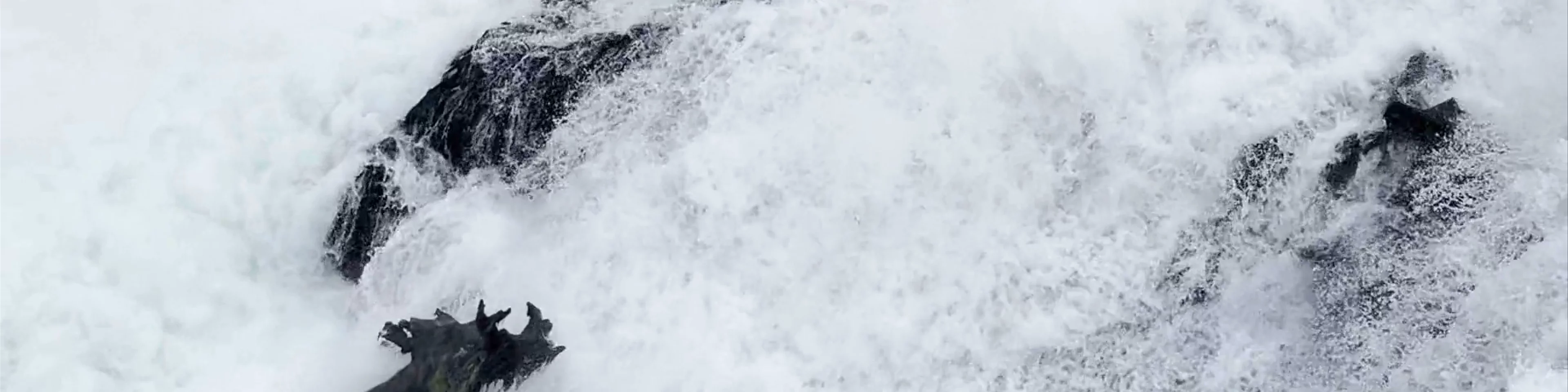 Rhine Falls
