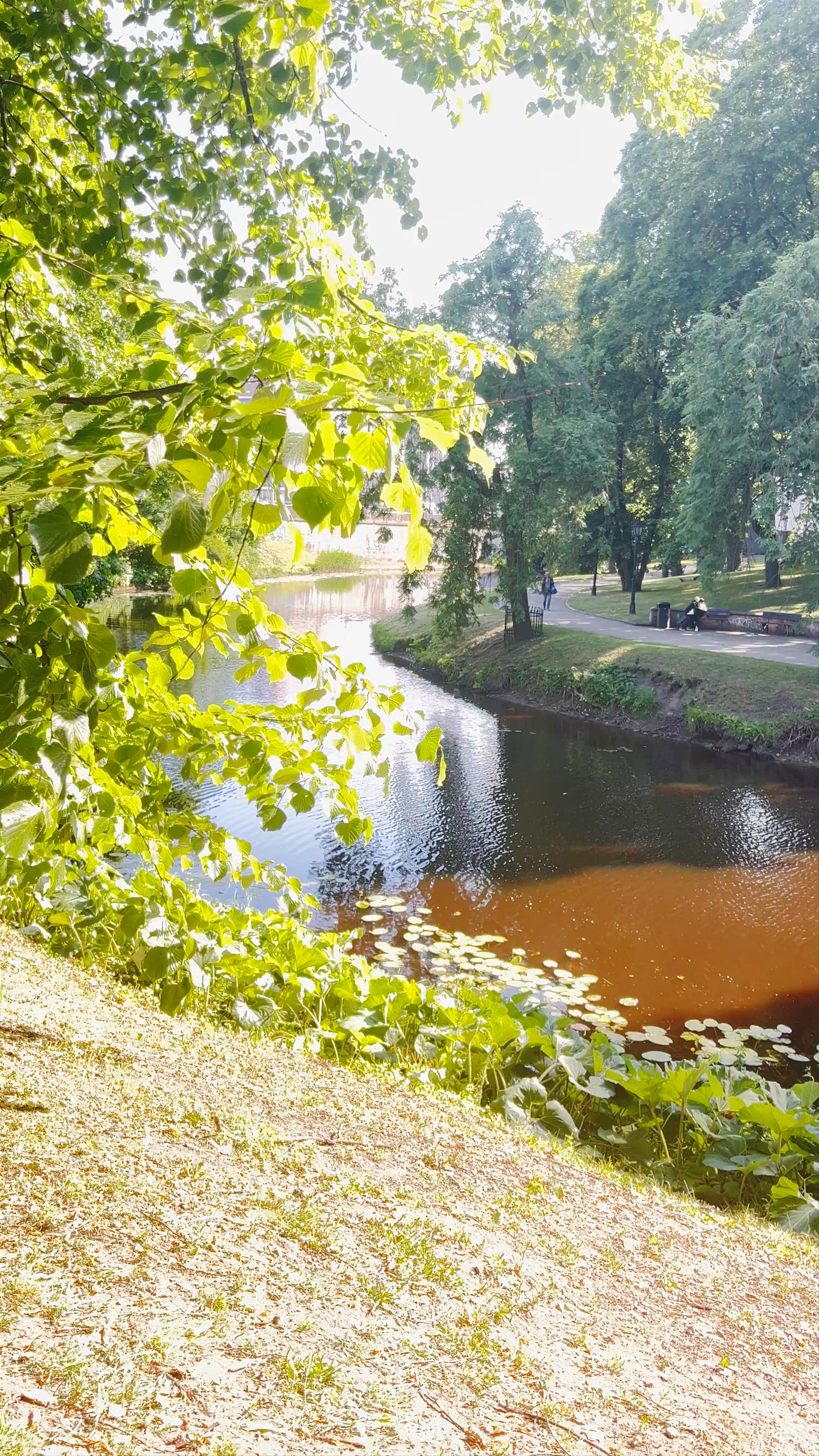 Riga Canal & Daugava River Cruise