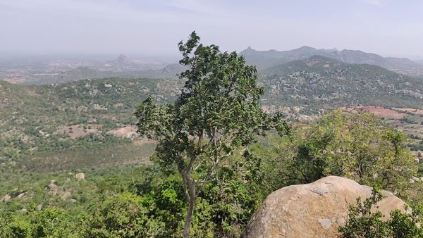 Photo of Avalabetta Hill Top 