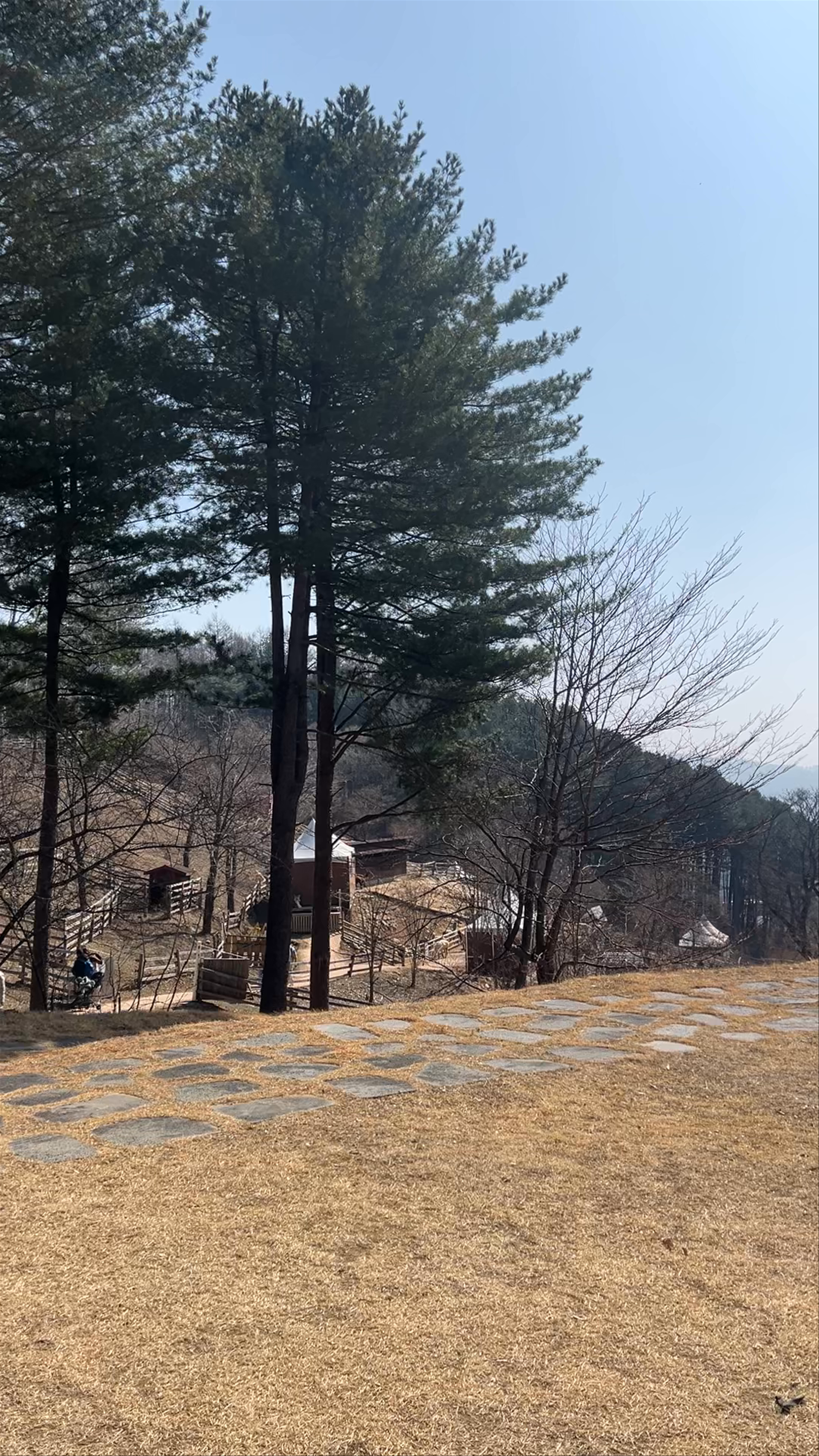 Alpaca World