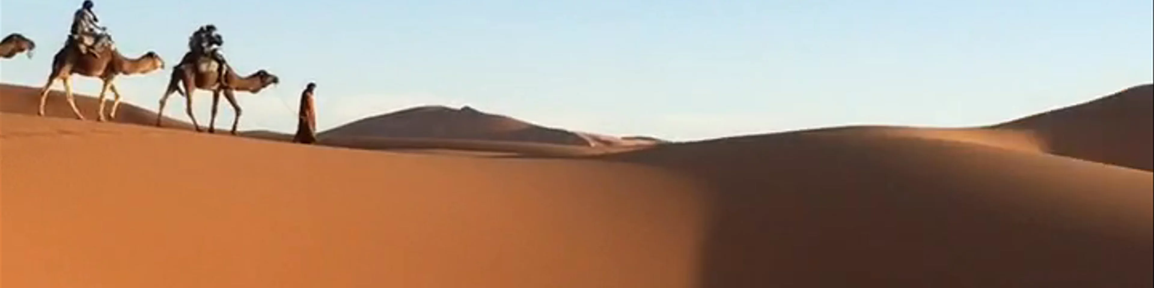Camel Caravan, Sahara Desert Morocco