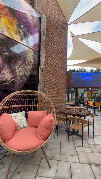 Mexology - Outdoor dining area - New Mexican Cuisine Near Me - Elizabeth, New Jersey