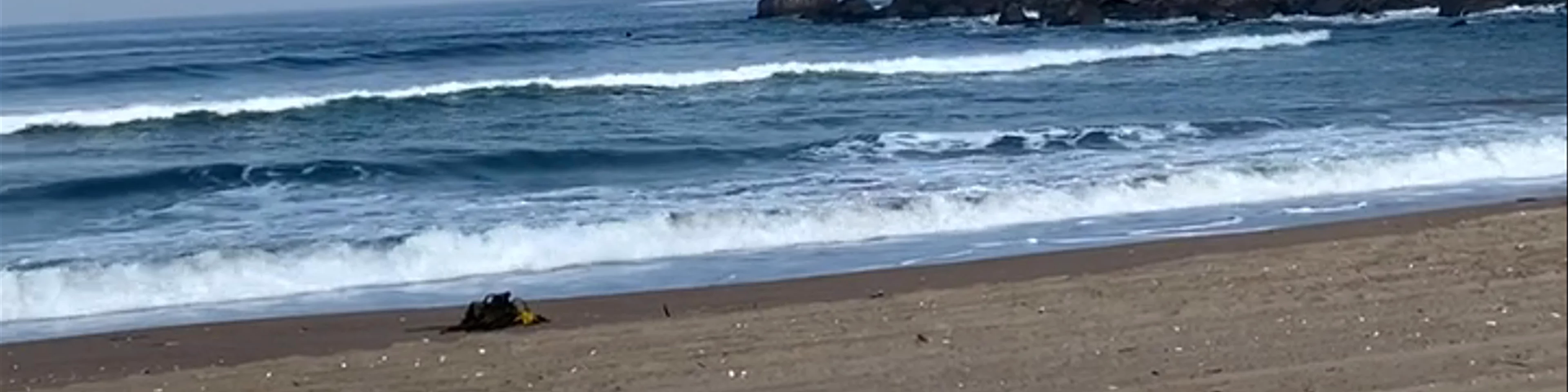 Punta Teatinos Humedal - Punta de Teatinos