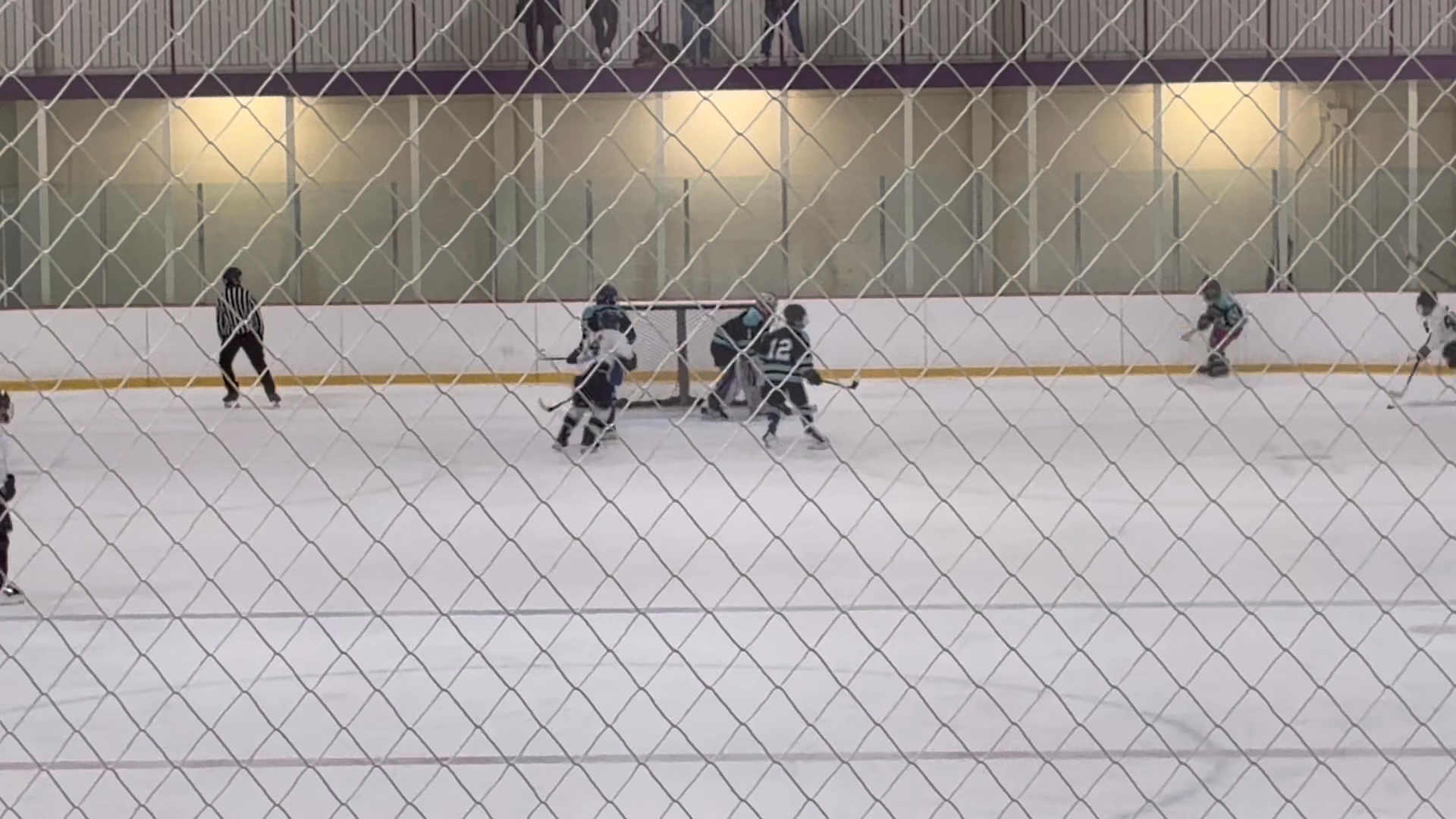 Good reflex’s and puck tracking NESC tourney May 2026