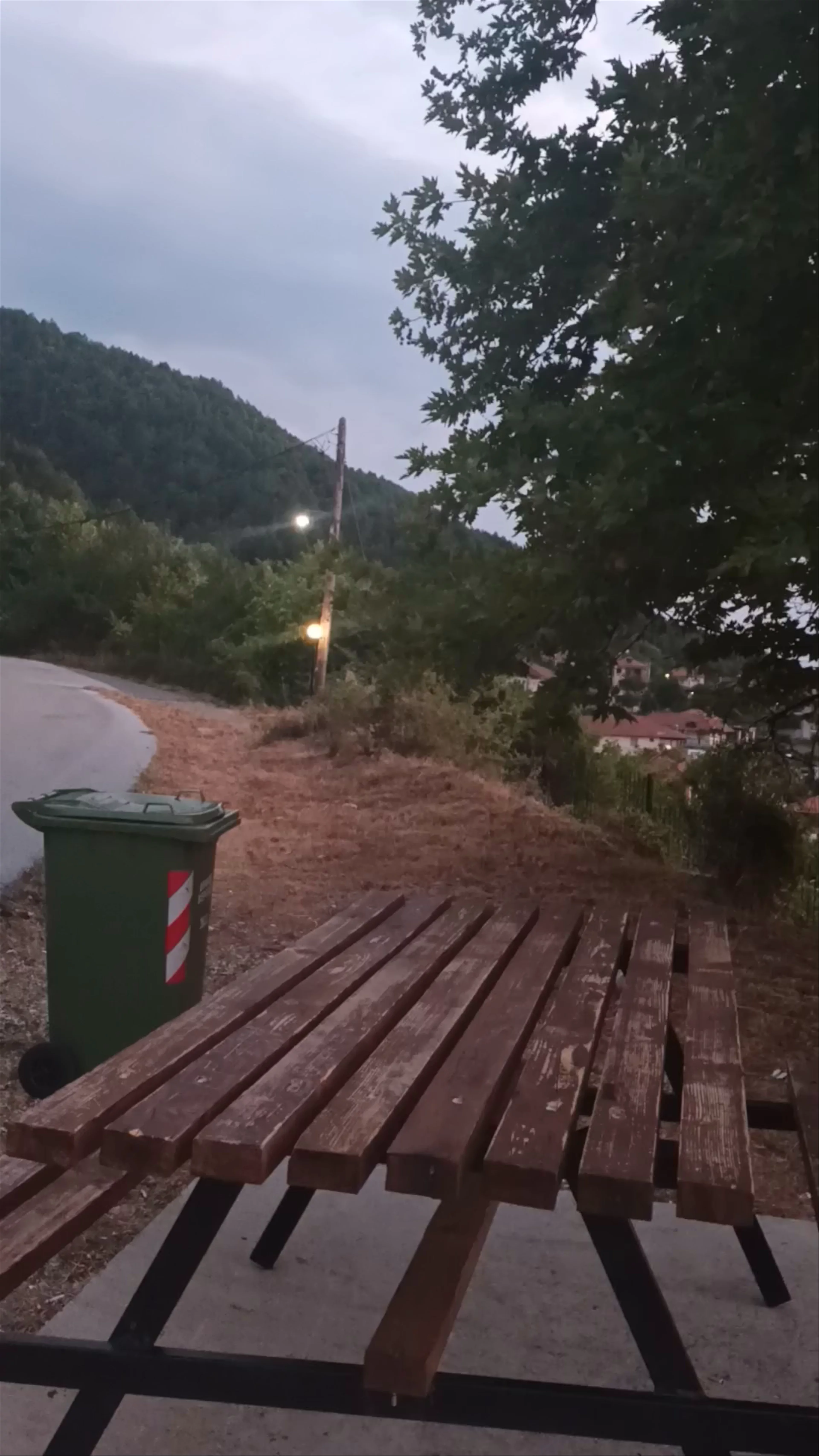 Panorama "Karaouli", Rizomata