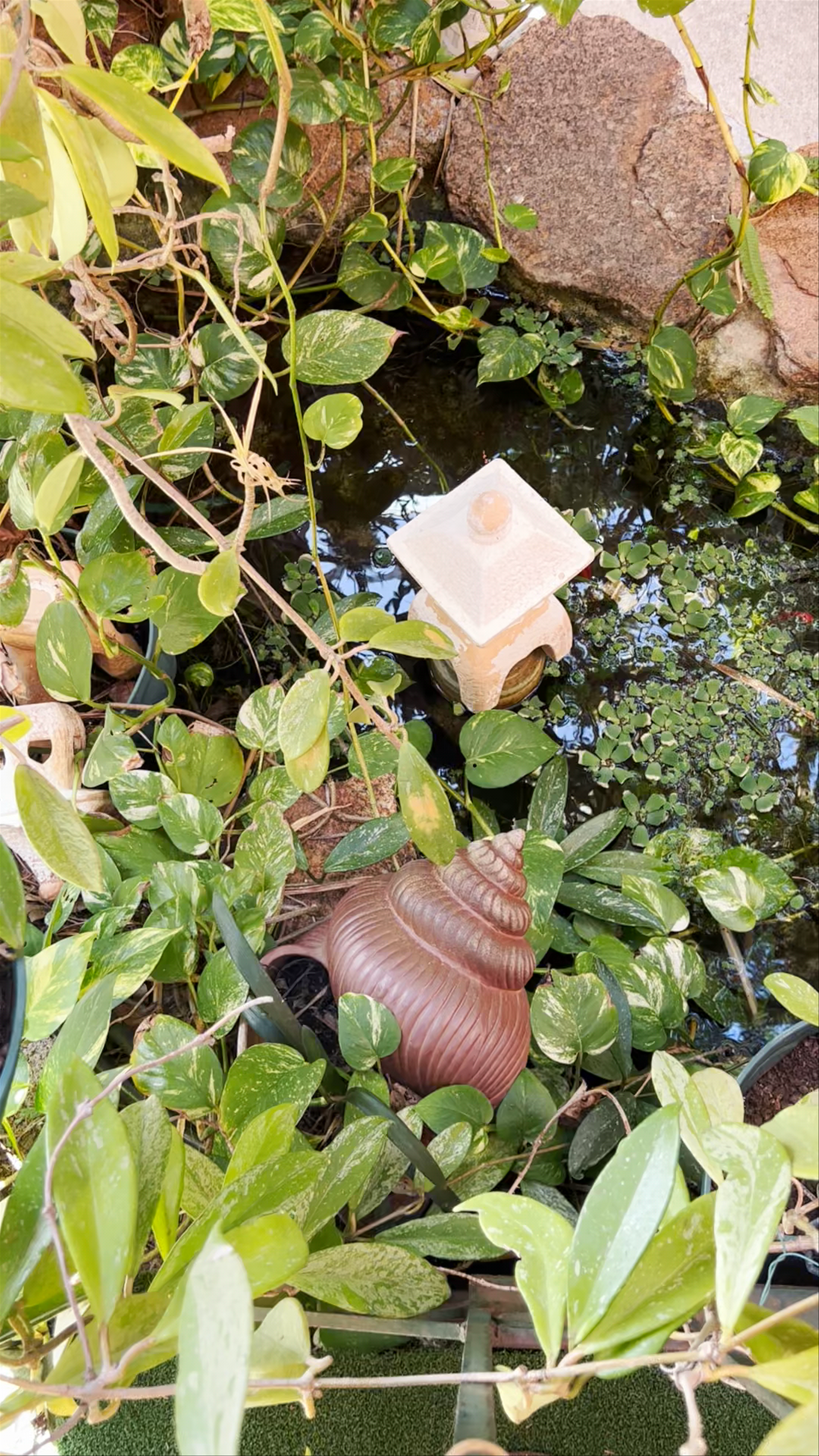 DaRawNature Studio Gallery: Urban Oasis in Fremantle