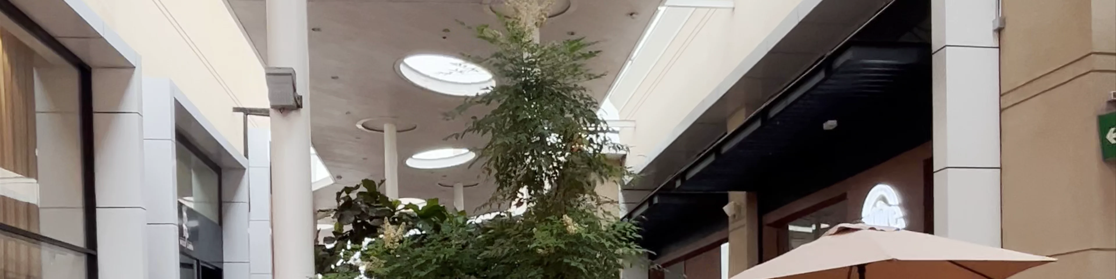 Mallplaza La Serena - Alberto Solari