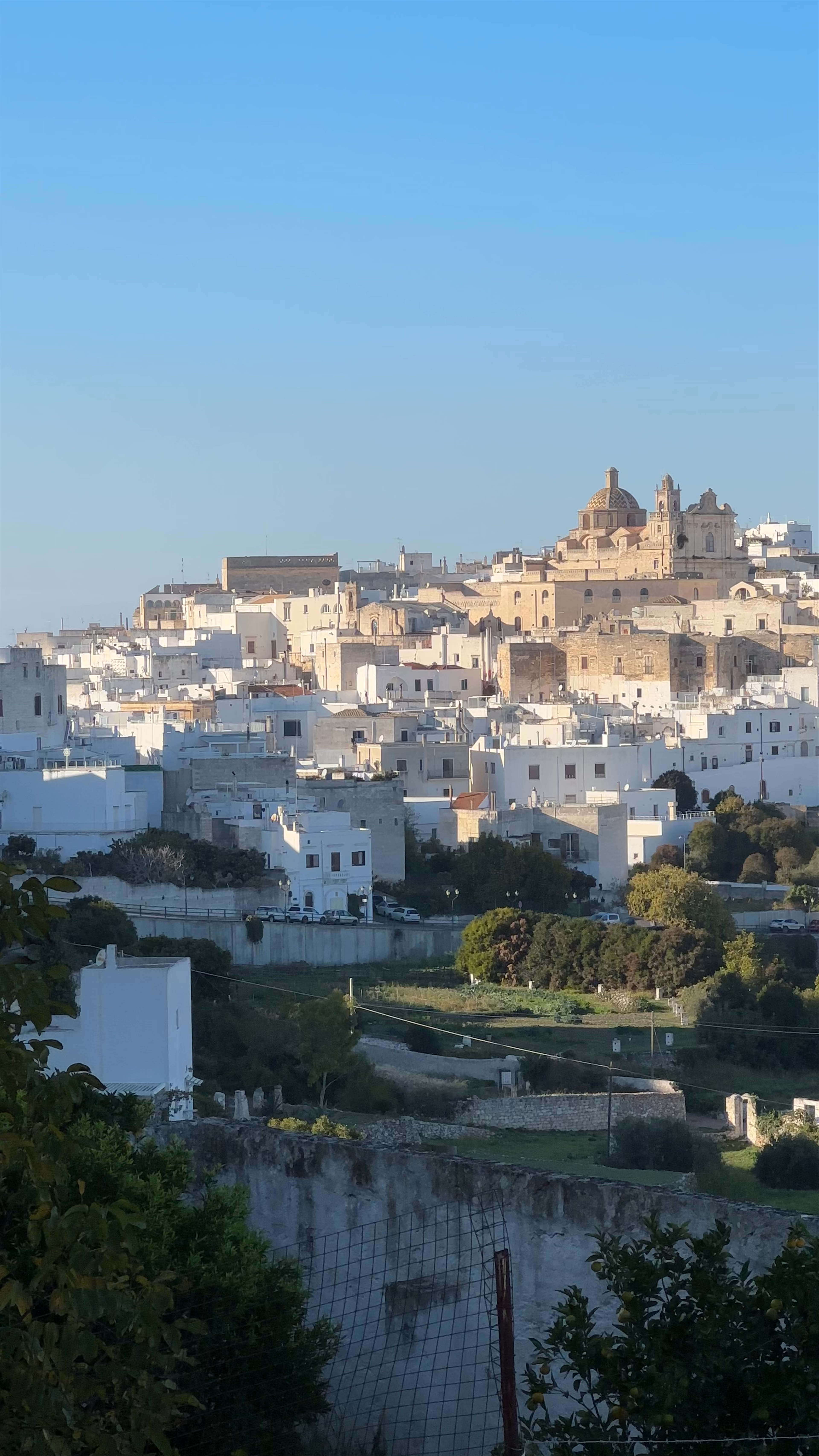 Viewpoint Corso Vittorio Emmanuel II