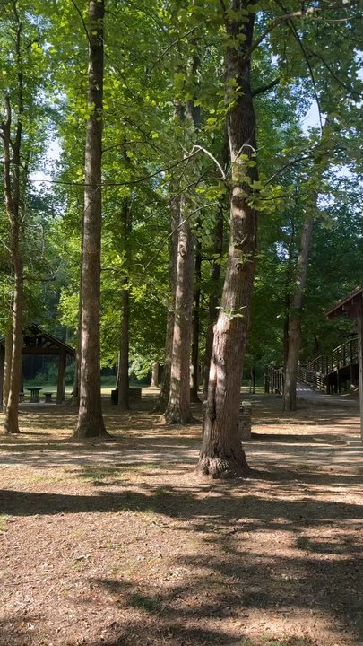 McCallum Park - Such a beautiful place to eat - Parks Near Me - Vestavia Hills, Alabama