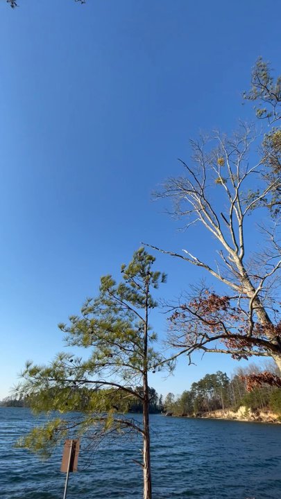 Lake Sidney Lanier - Lakes Near Me - Buford, Georgia