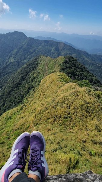 Photo of This is how it looks