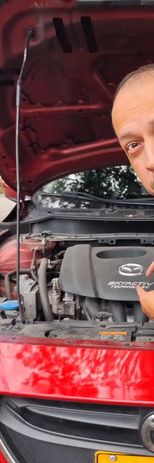 Punto cero para carros