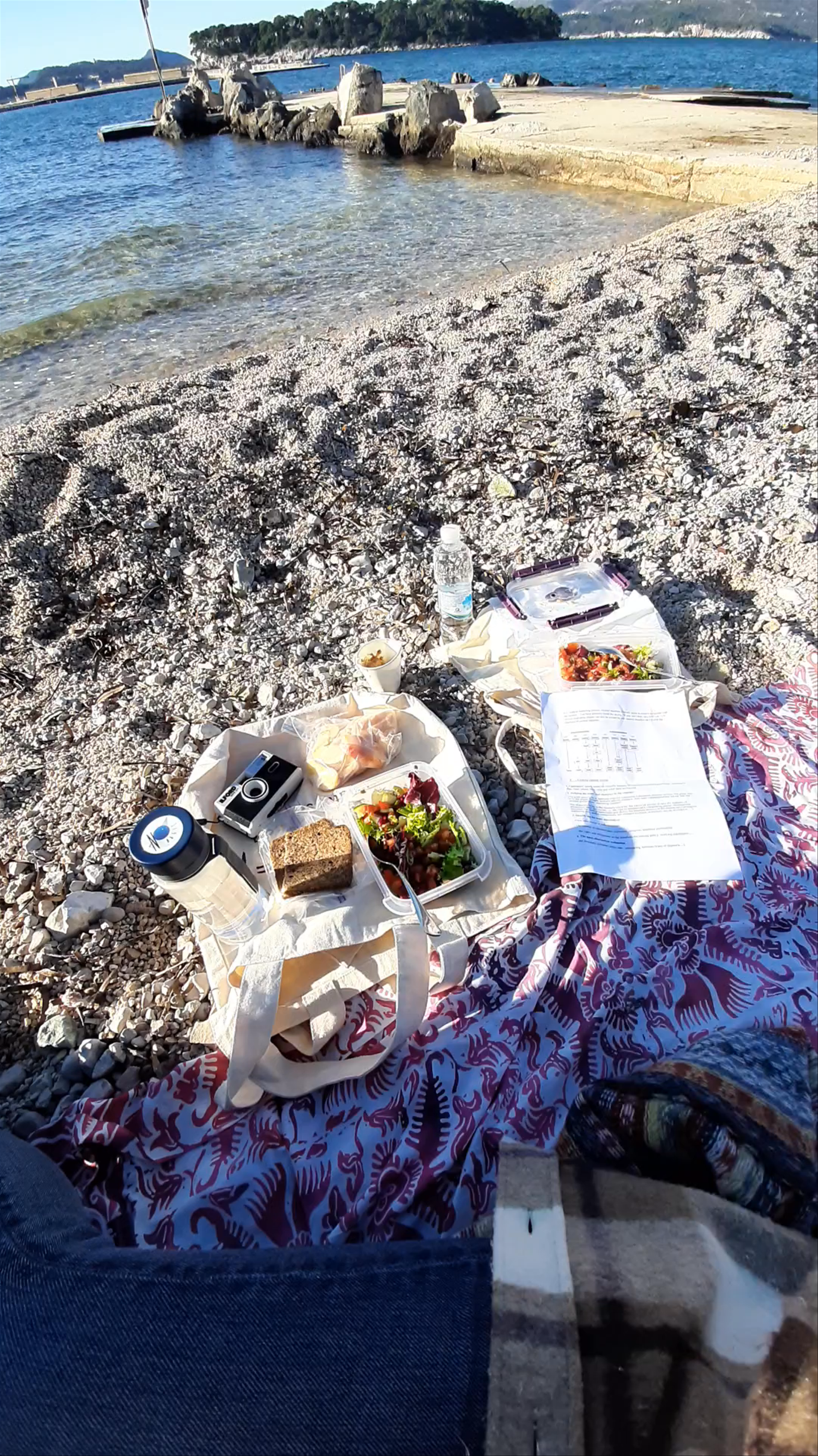 Coastal Serenity Picnic at Copacabana Beach, Dubrovnik