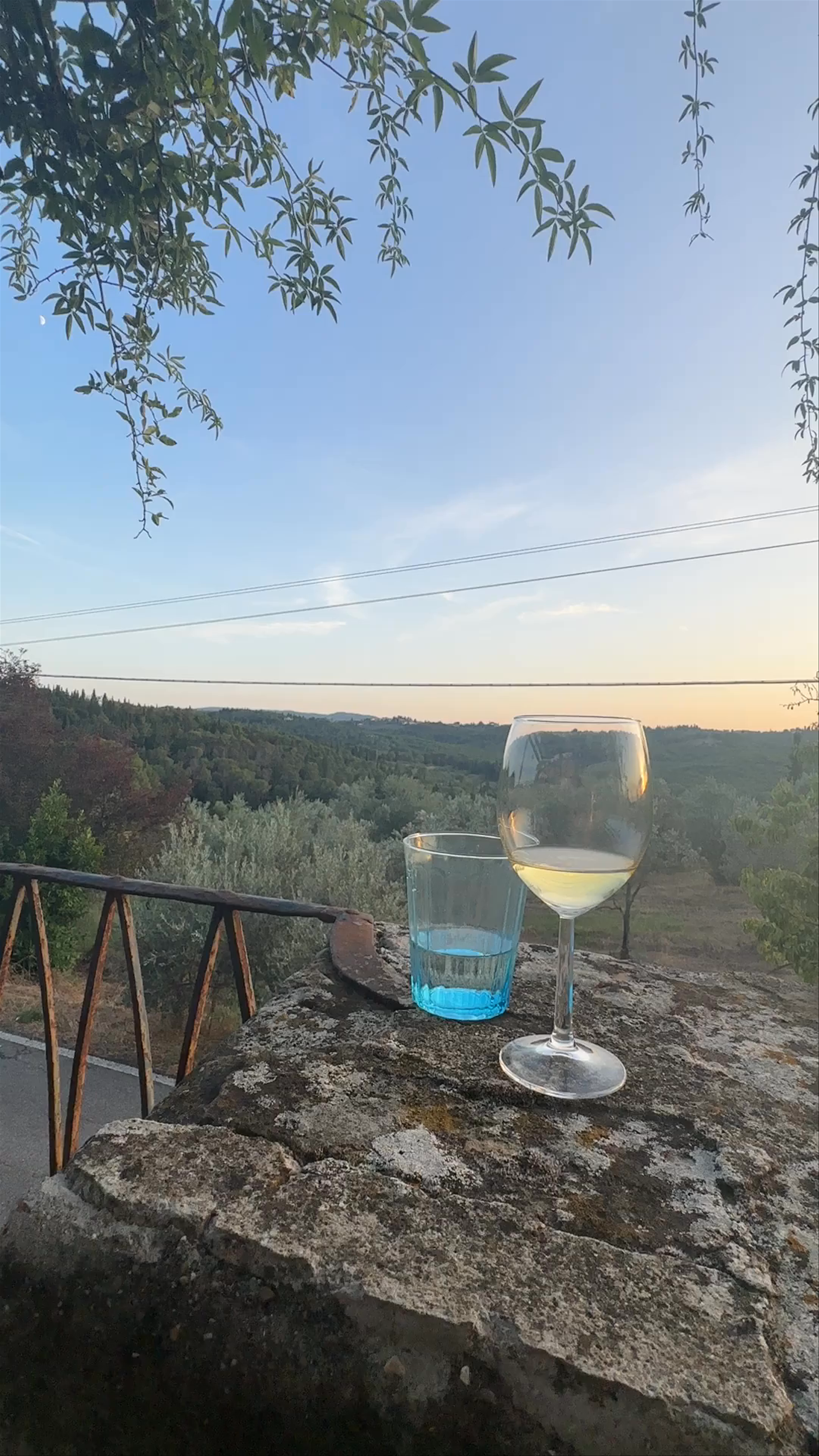 Fattoria Castel Ruggero di D'Afflitto Nicolo'