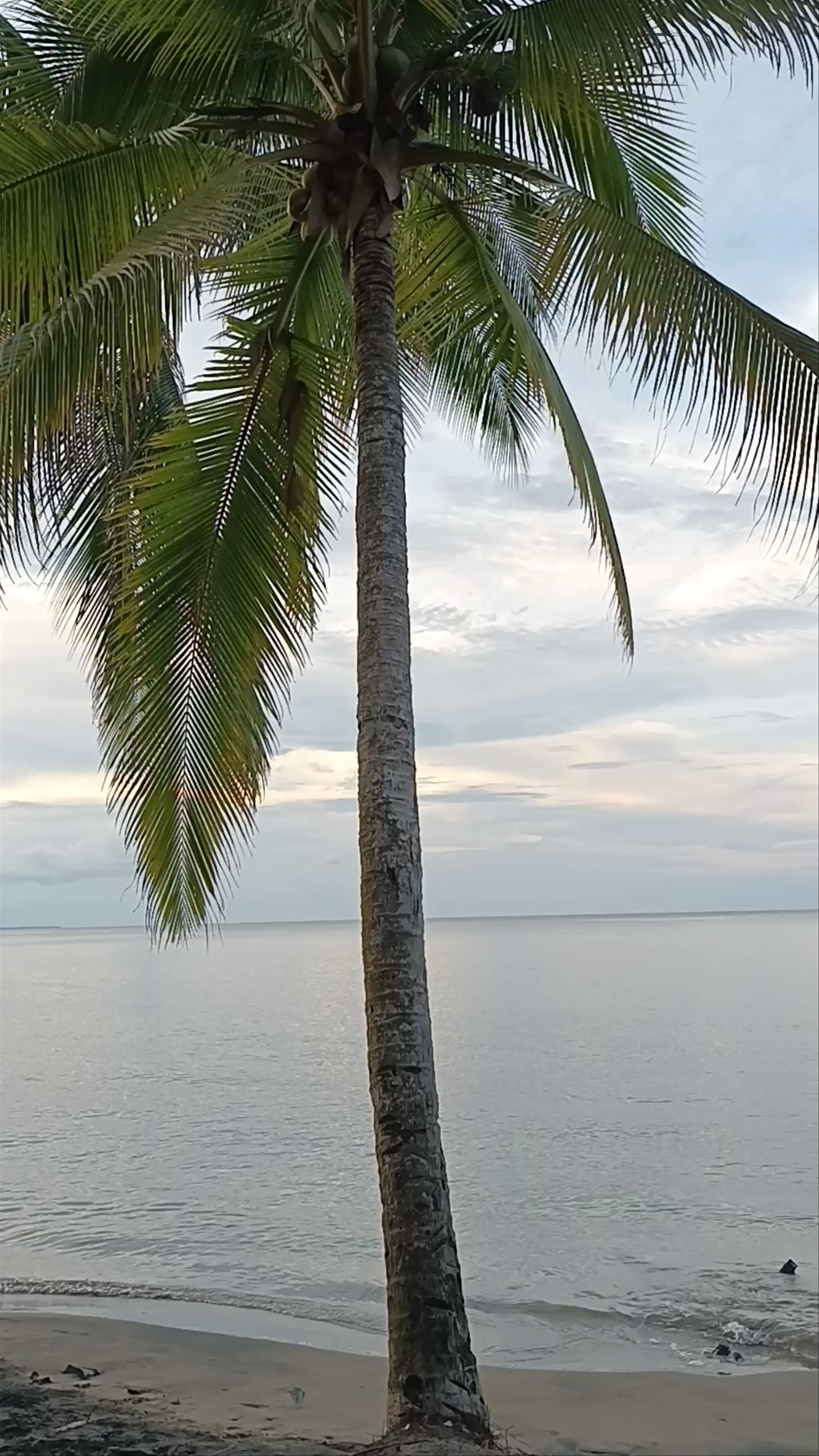 Sunset Serenity at Refugio Nacional Gandoca-Manzanillo, Costa Rica