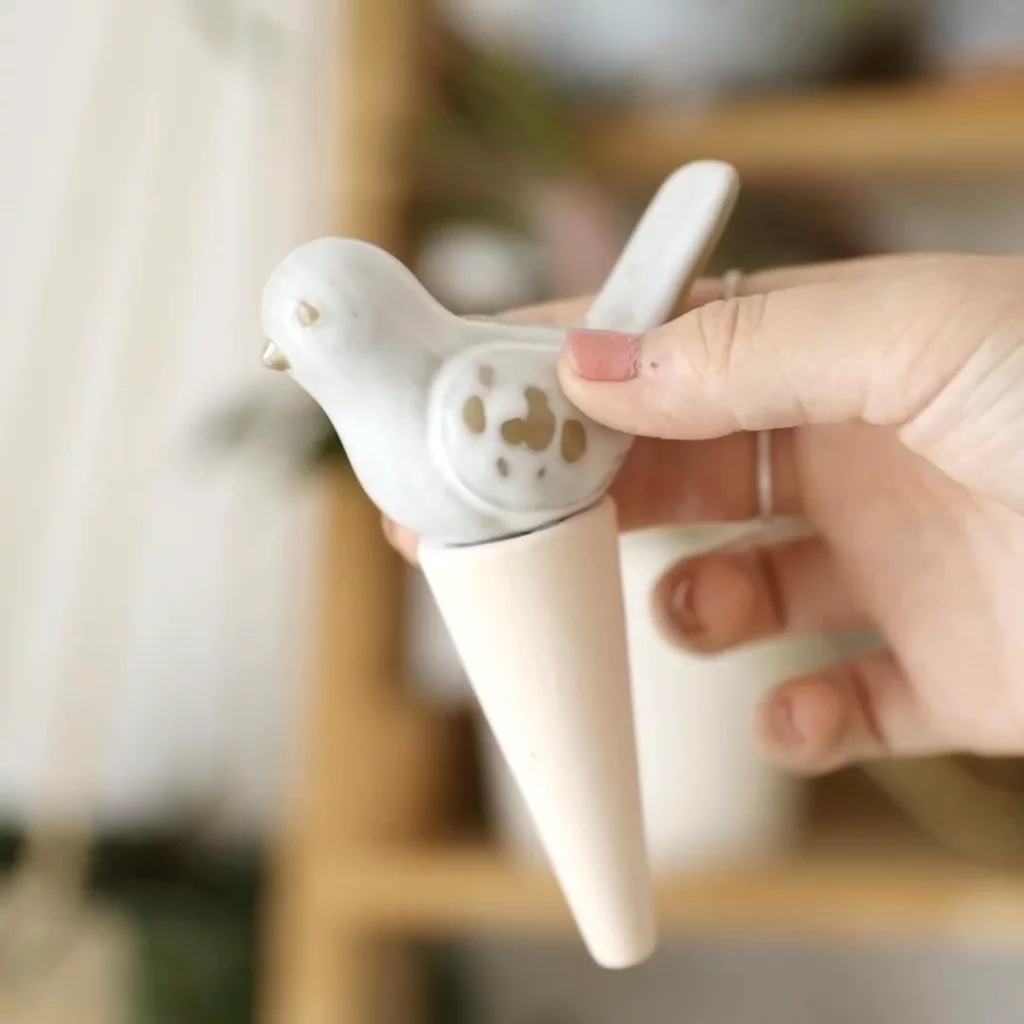 Product video