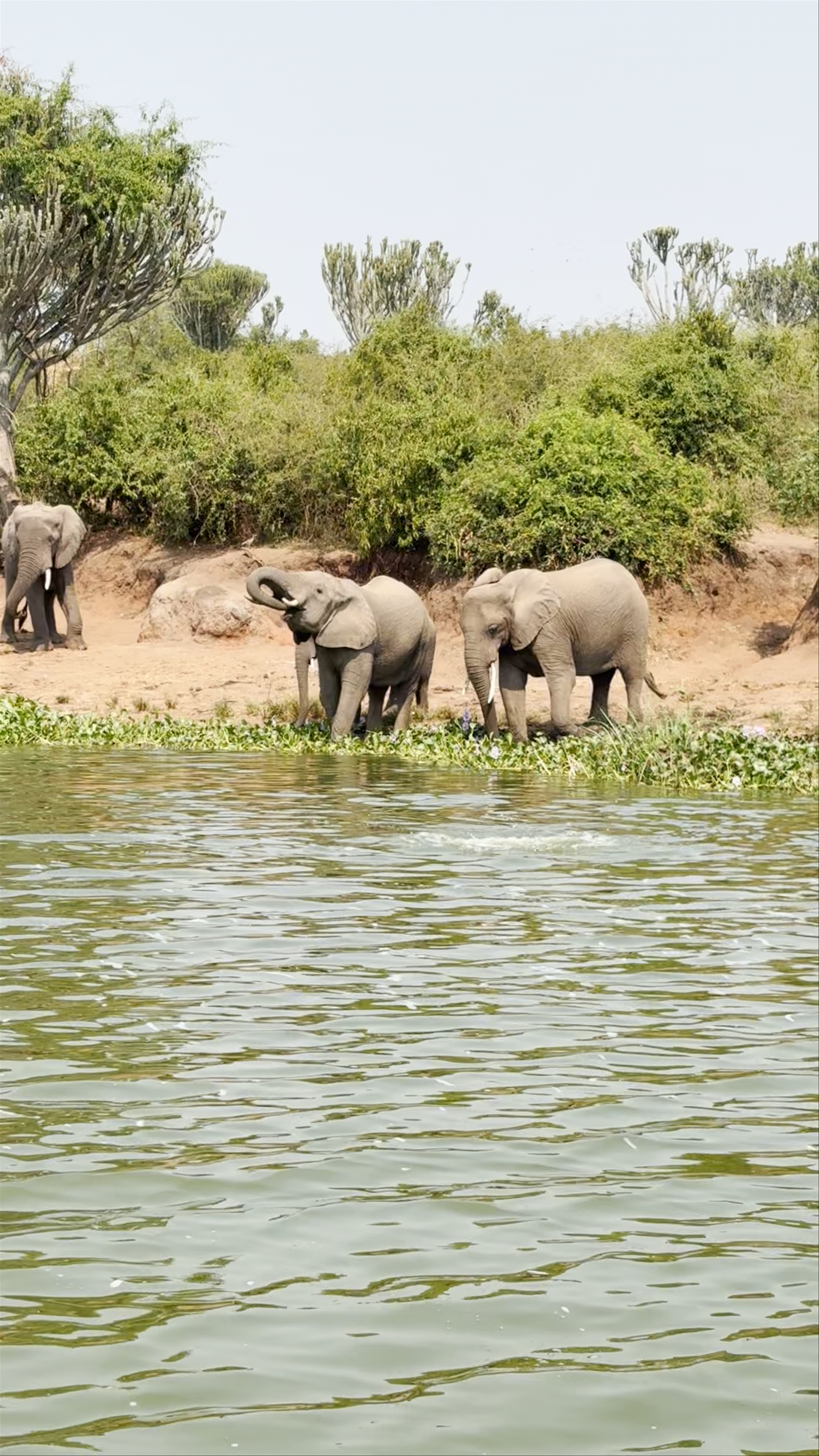 Kazinga Channel Community Boat