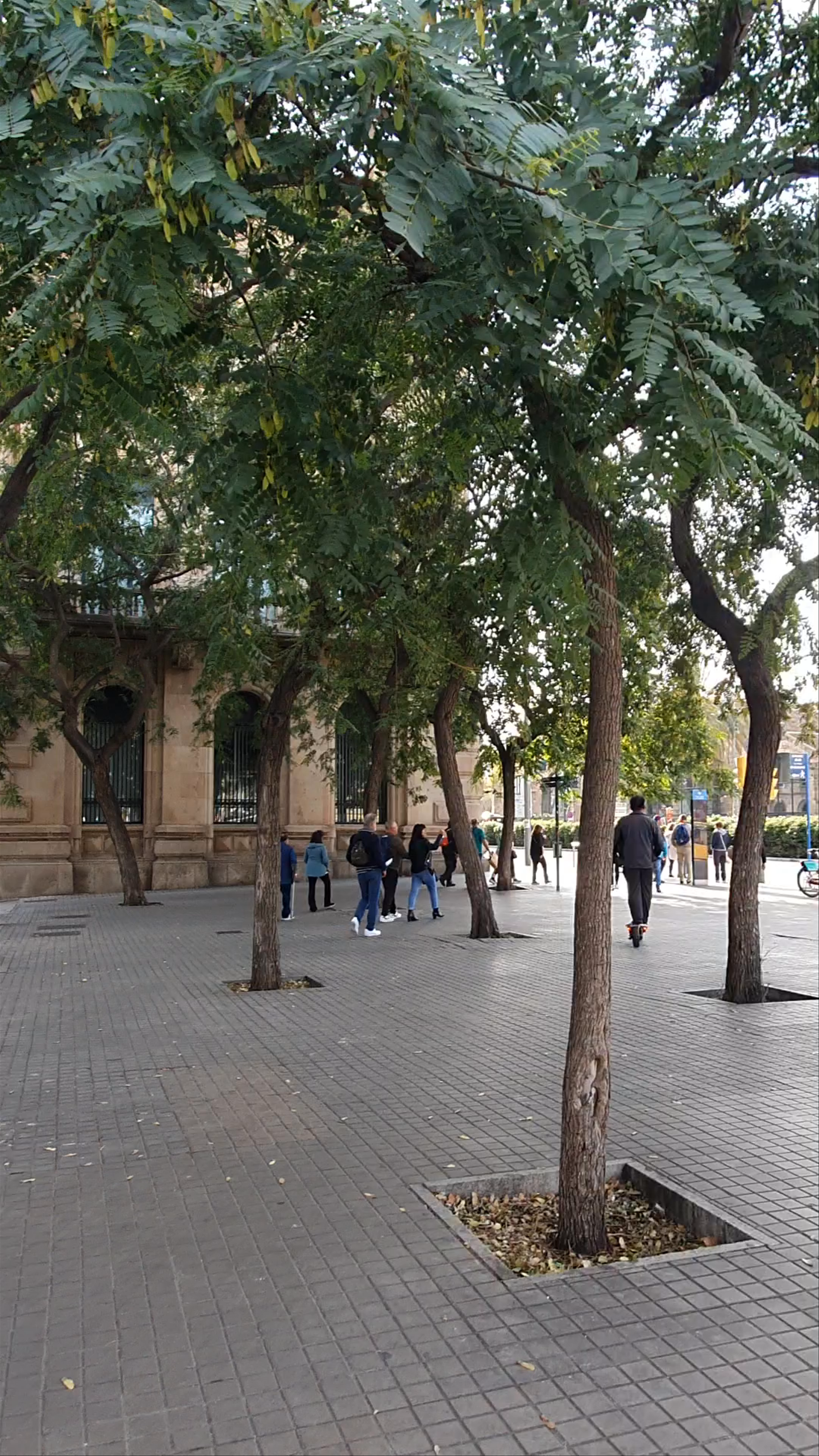 Exploring the Columbus Monument at Plaça Portal de la Pau, Barcelona