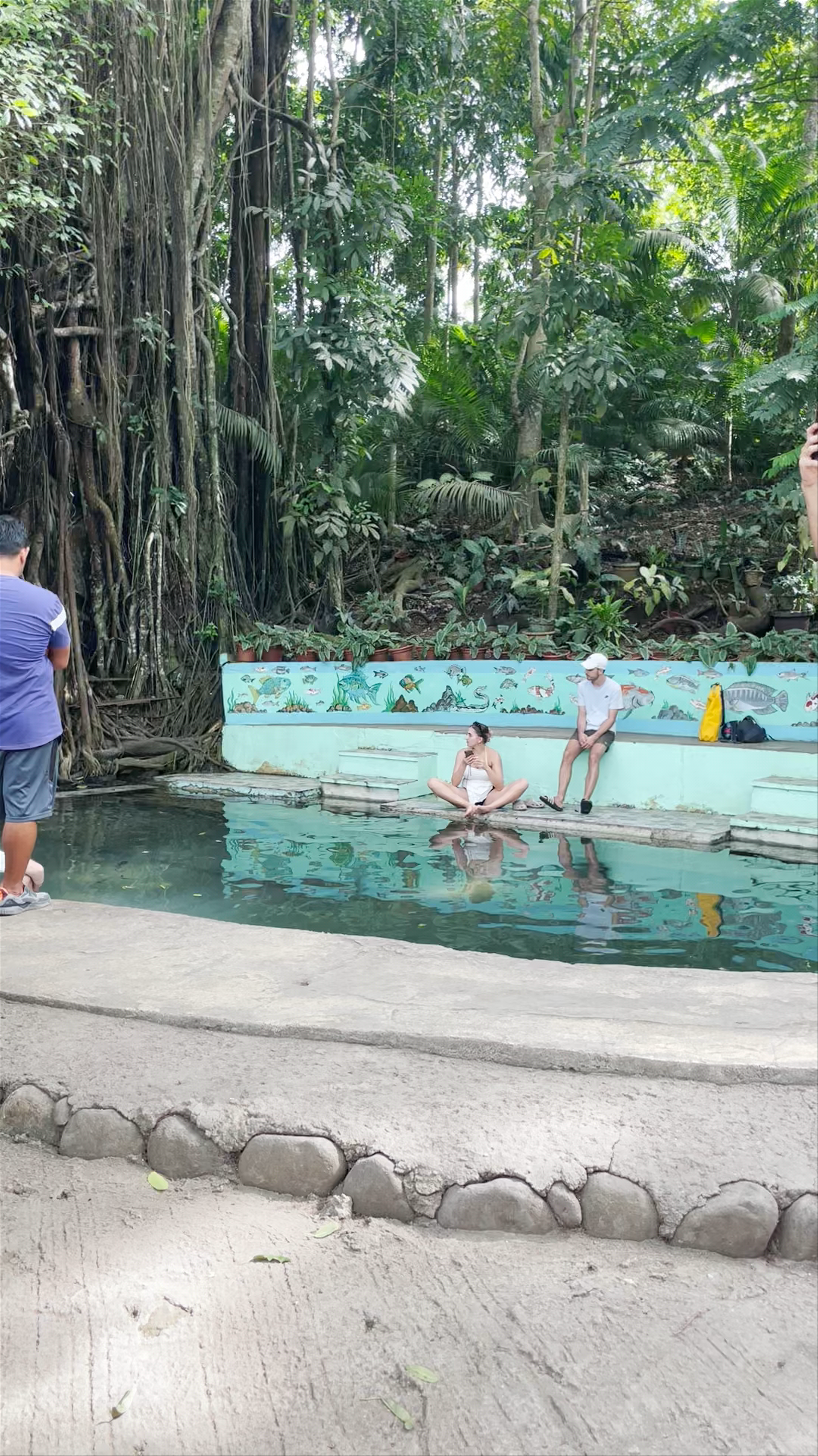 Old Enchanted Balete Tree