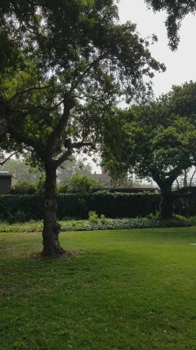 Stearns Champions Park - Can see the Long Beach Fire Academy run their training drills from the park. - Parks Near Me - Long Beach, California