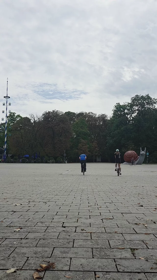 riu submission: Flip to rev