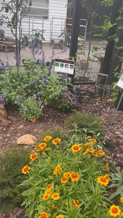 Kerby's Nursery - Nurseries & Gardening Near Me - Seffner, Florida