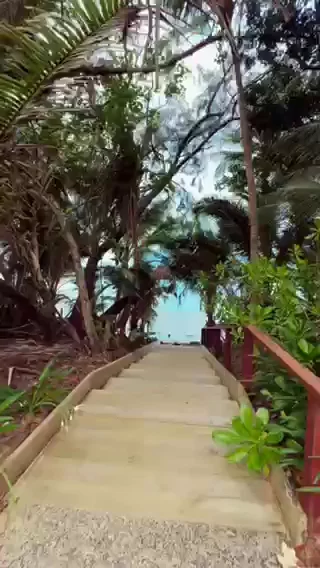 Travel Reel - Port Douglas