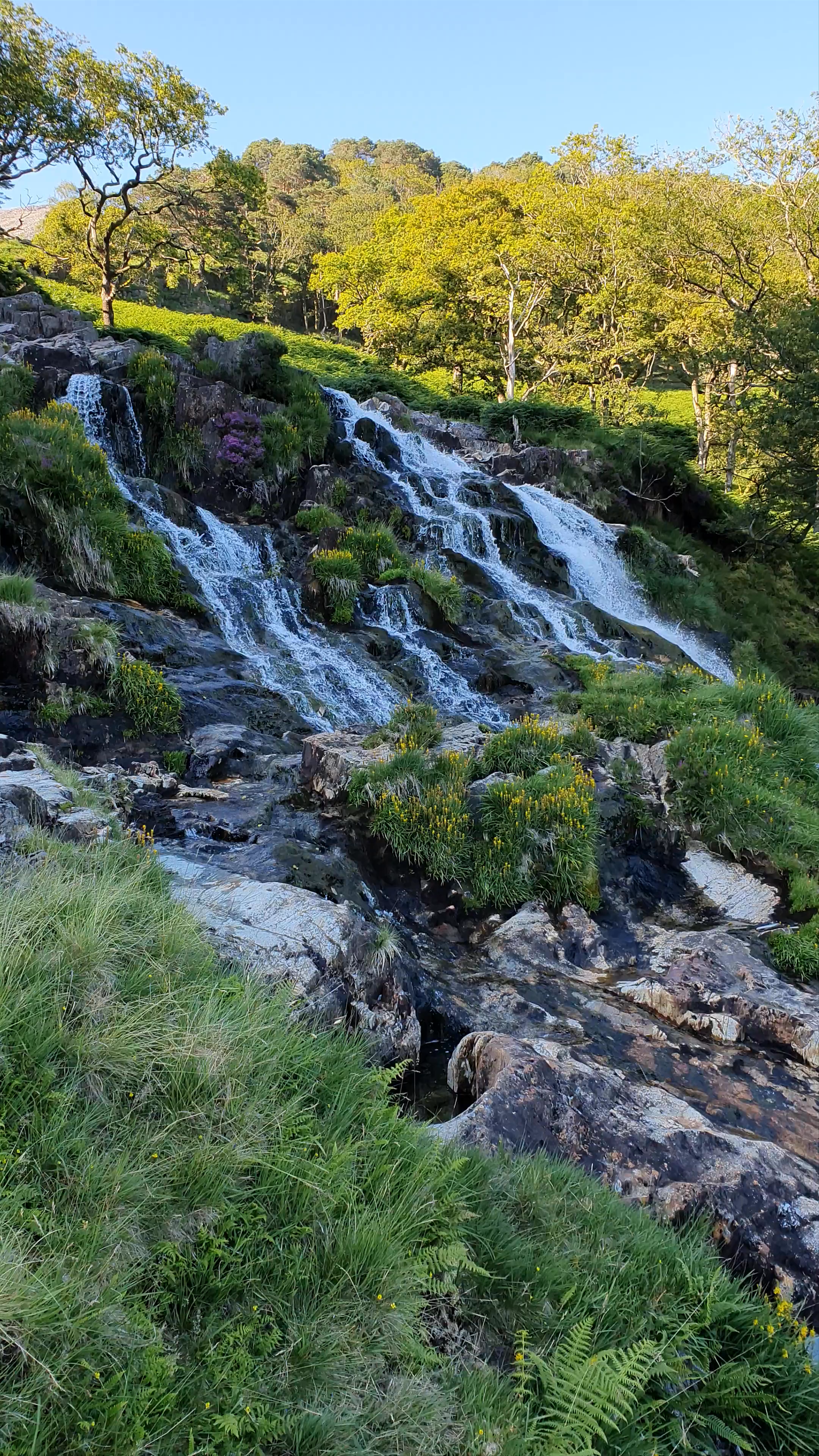 Watkin Path