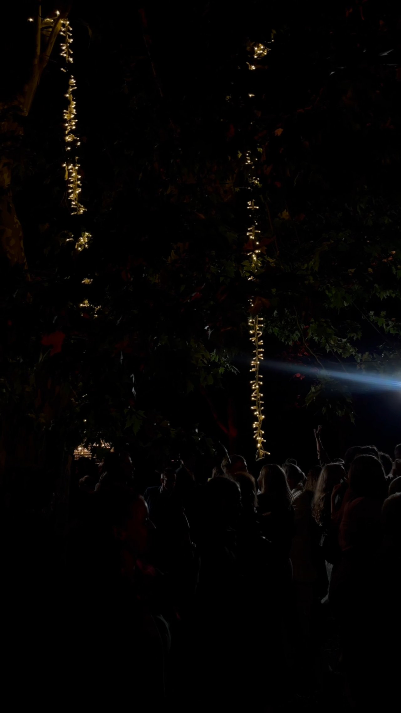 The Hopeless Wanderers @ Villa La Selva - video 4
