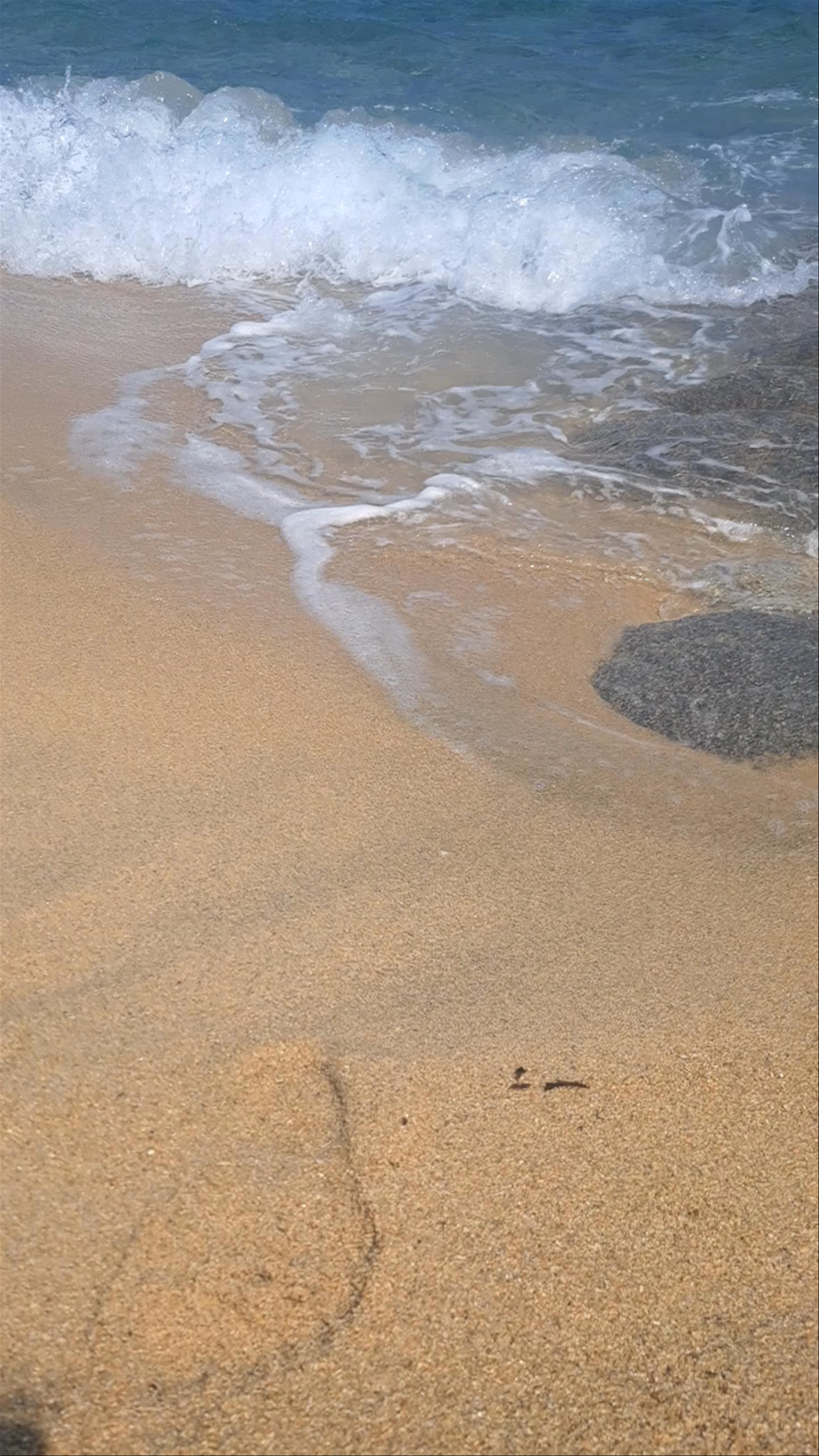 Tigania Beach Serenity in Toroni, Greece