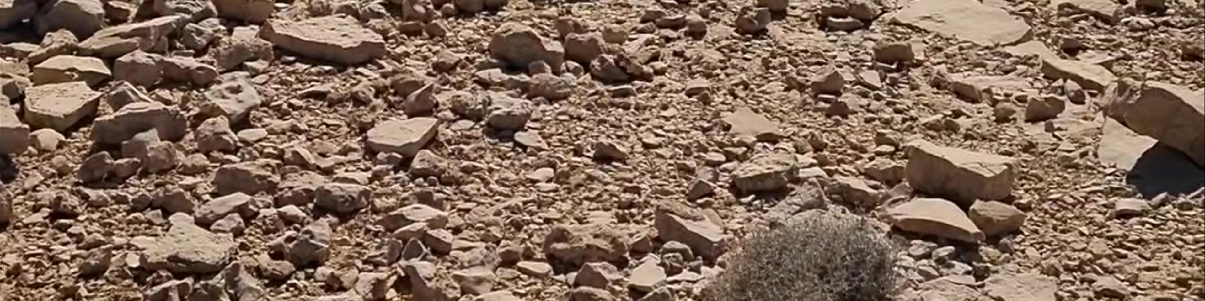 Jaylah Beehive Tombs