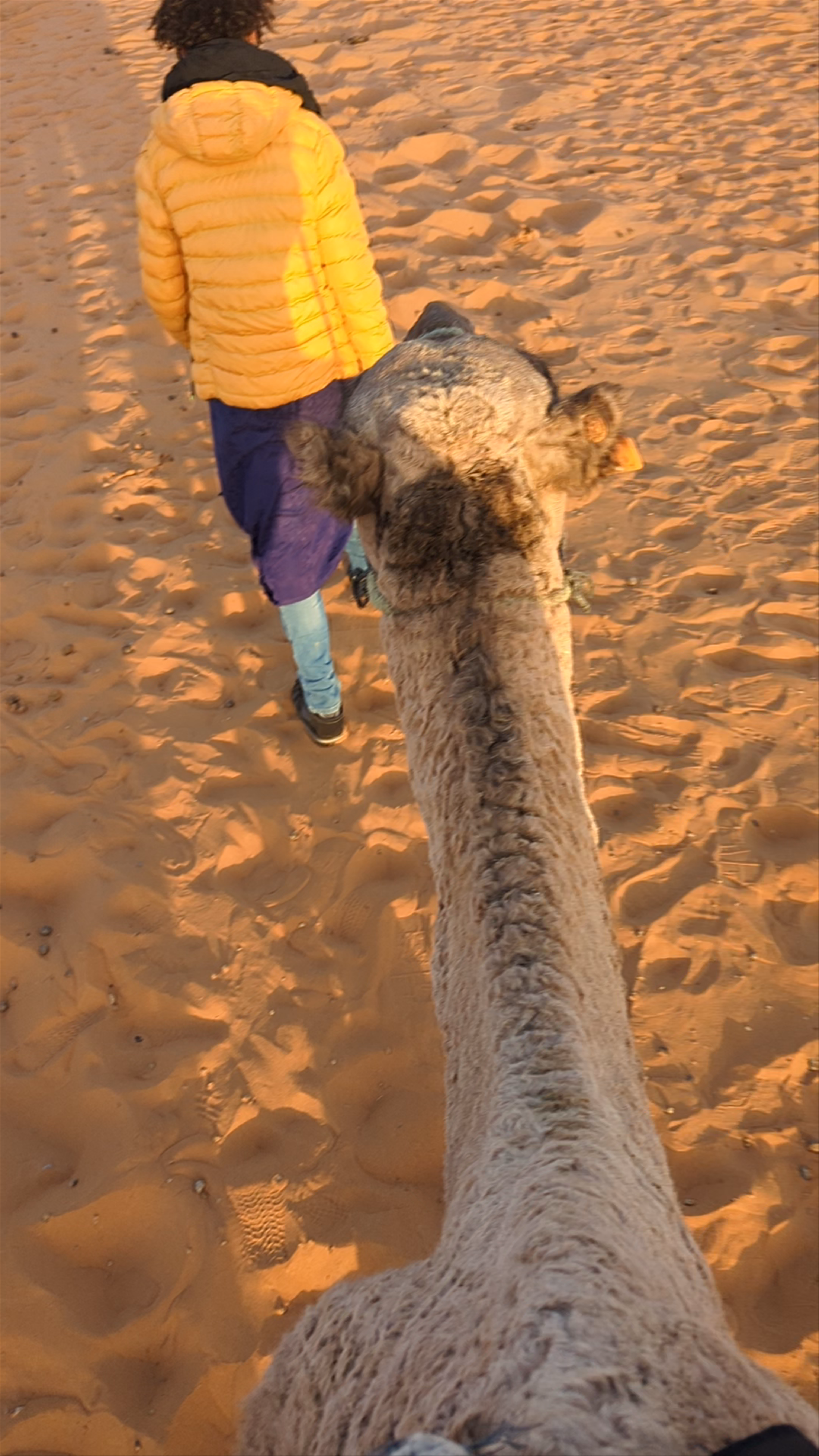 Merzouga Desert Campsite & Activities