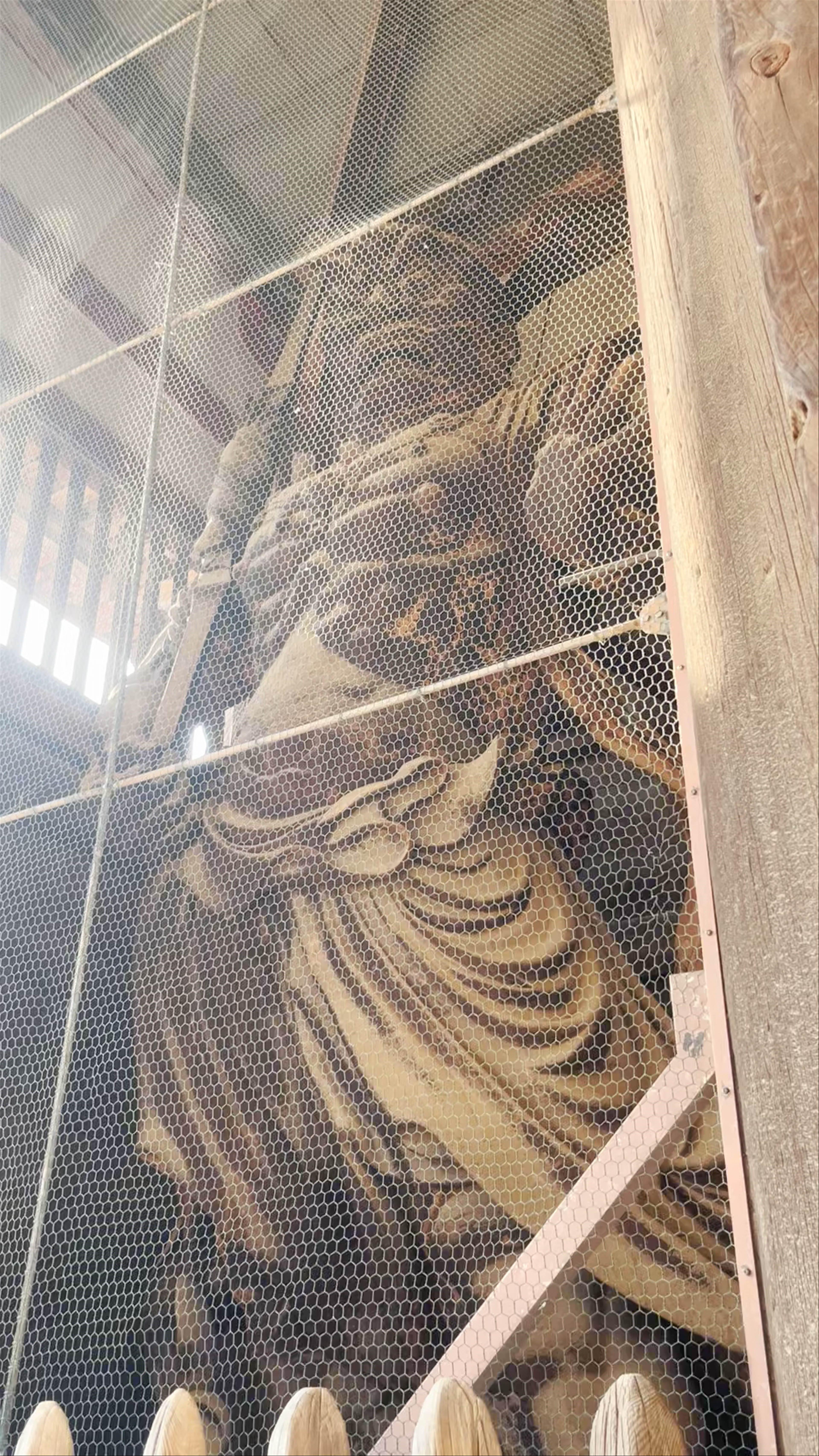 Todaiji Nandaimon (Great South Gate) - Majestic Guardian Statues in Nara, Japan