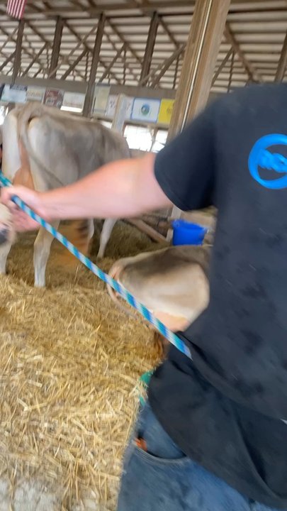 Lake County Fairgrounds - Farm Animals - Venues & Event Spaces Near Me - Grayslake, Illinois