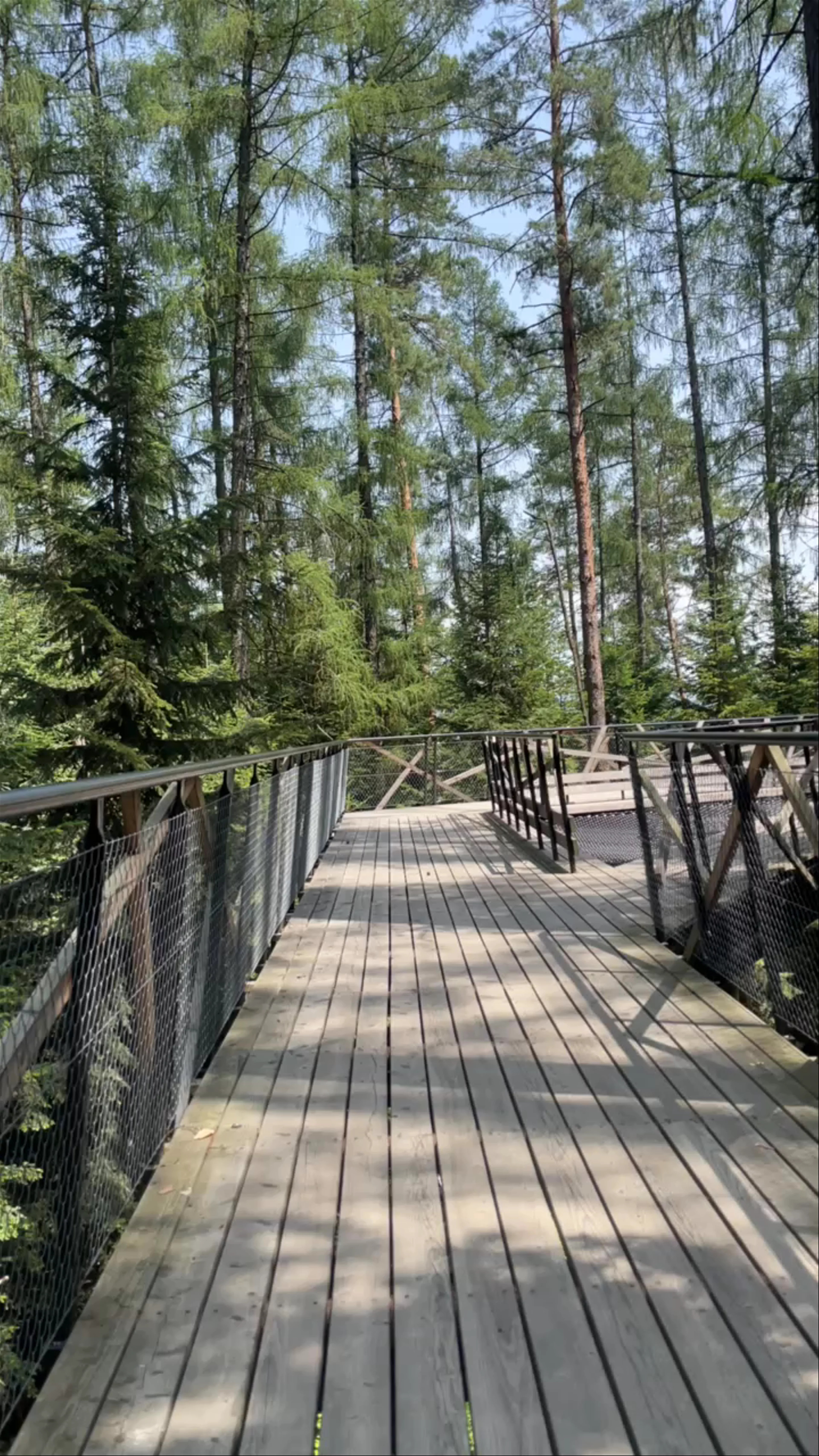 Leśne Molo
