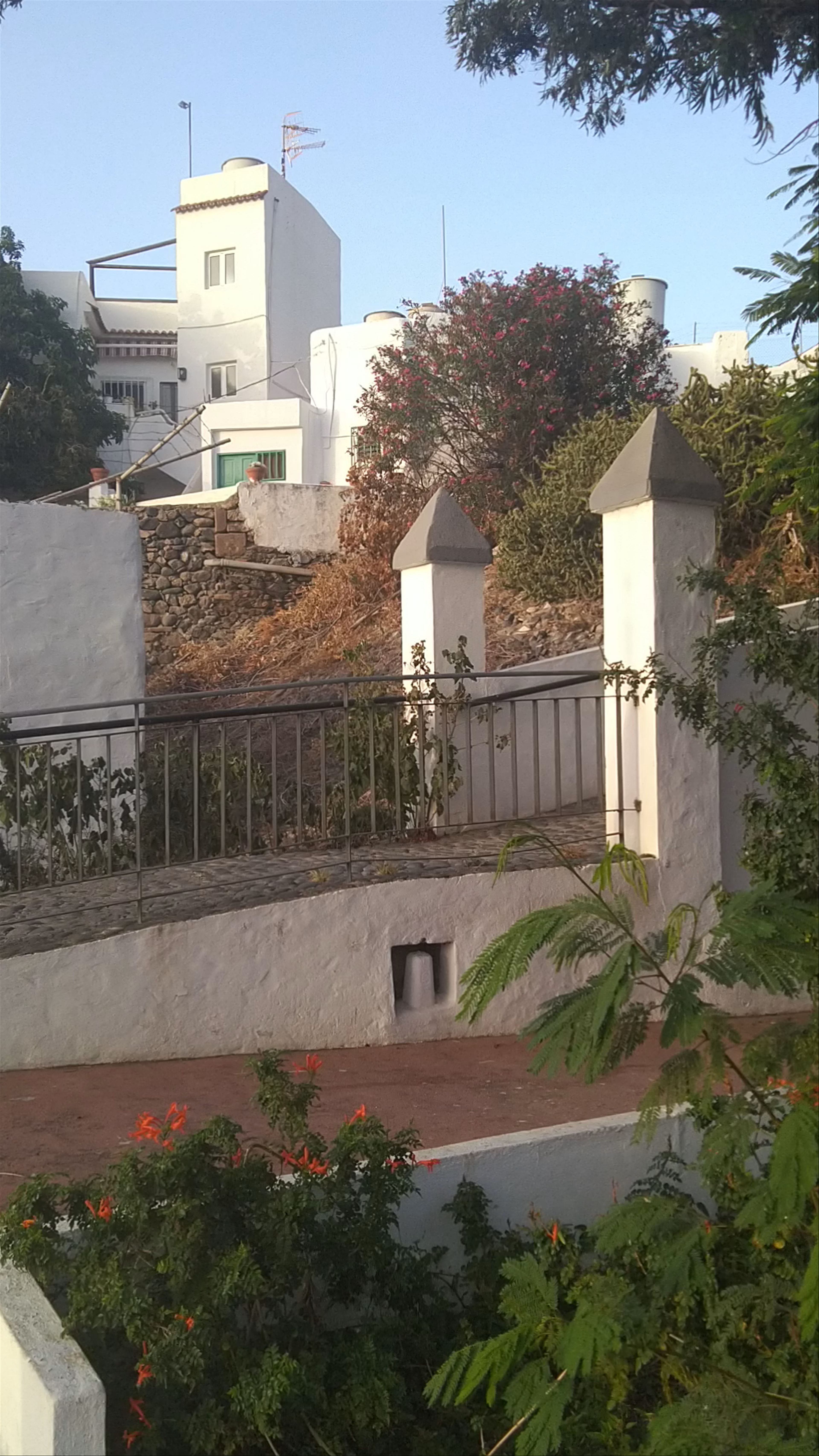 Museo de La Rama Garden