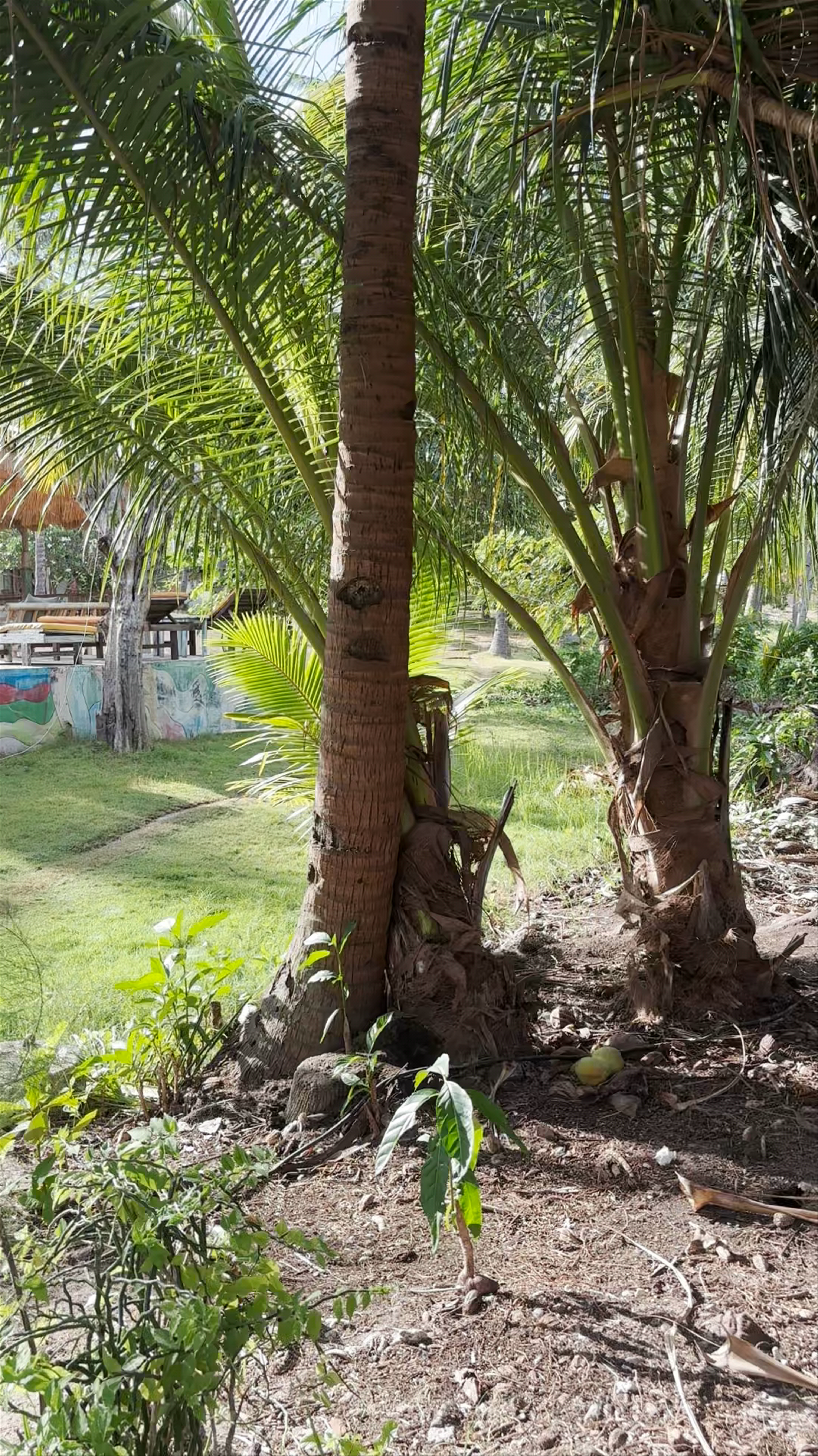 Segar Villages