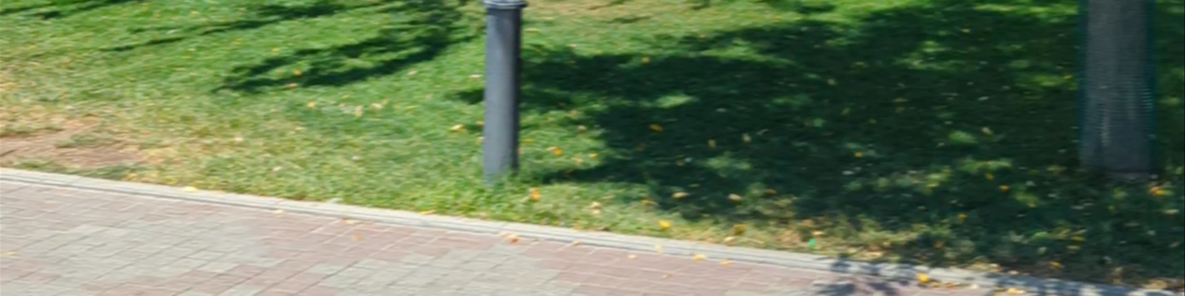 Vardanyan's park