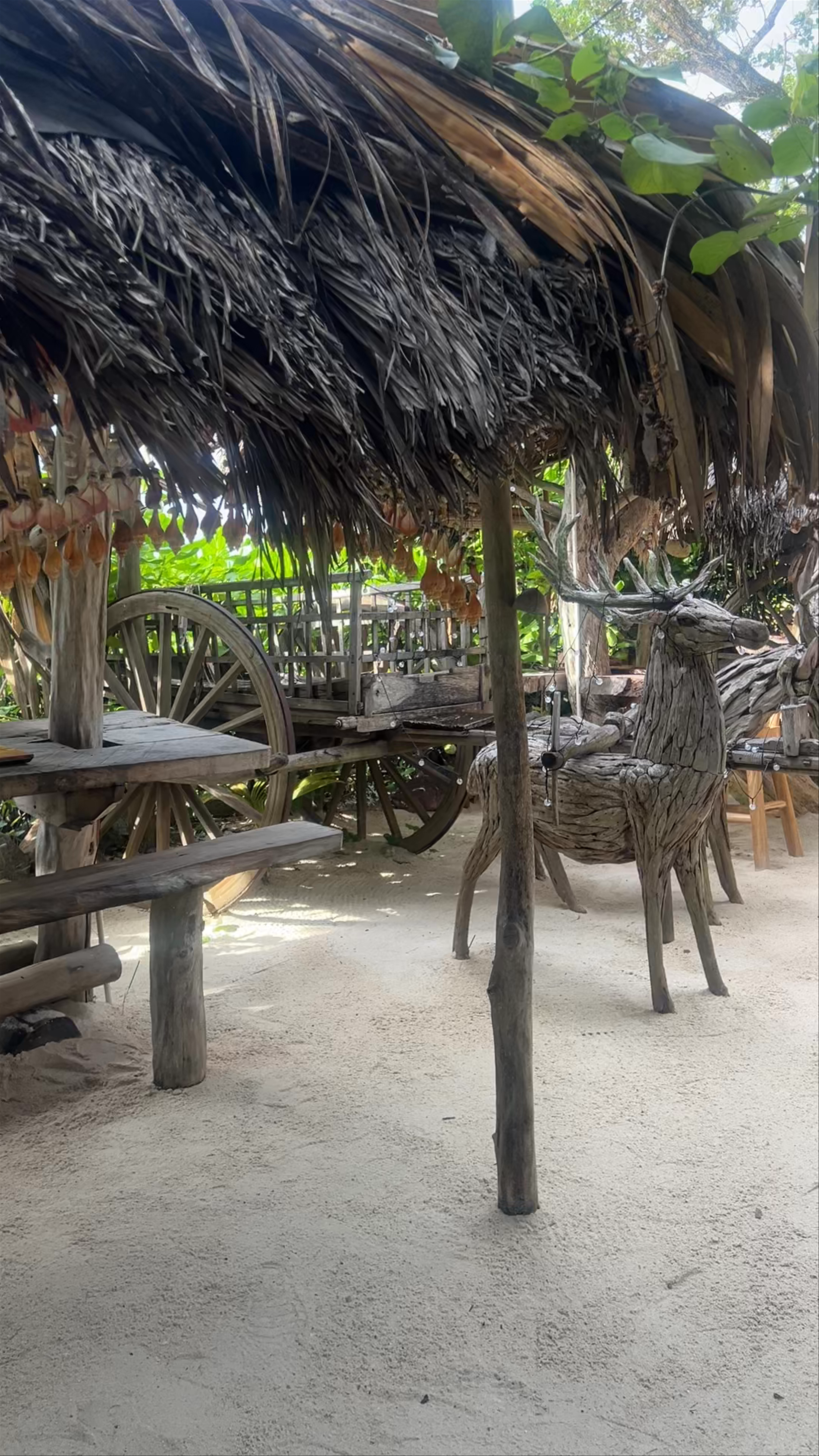 Natural Bar Grill & Drinks