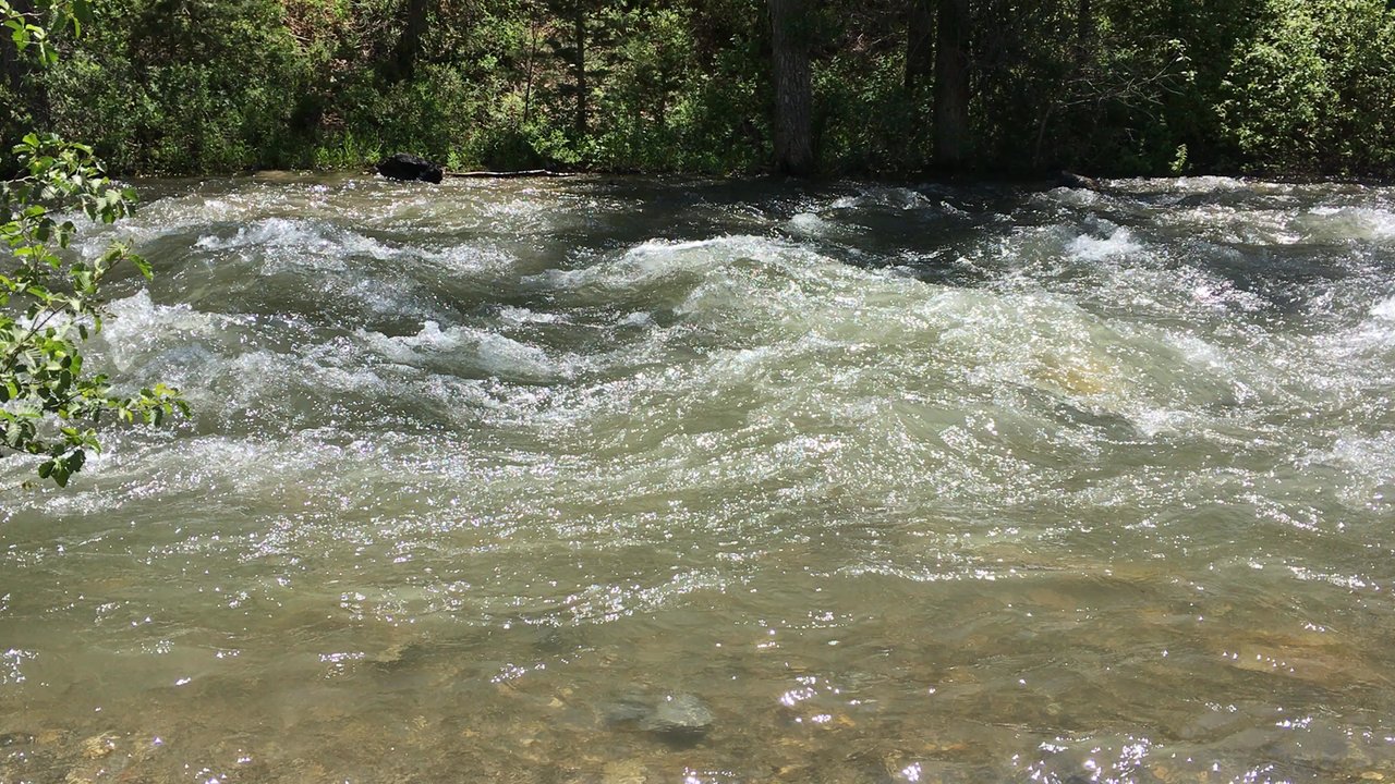 Wasatch Mountain State Park - Leading right into the Tibble Fork Reservoir - Parks Near Me