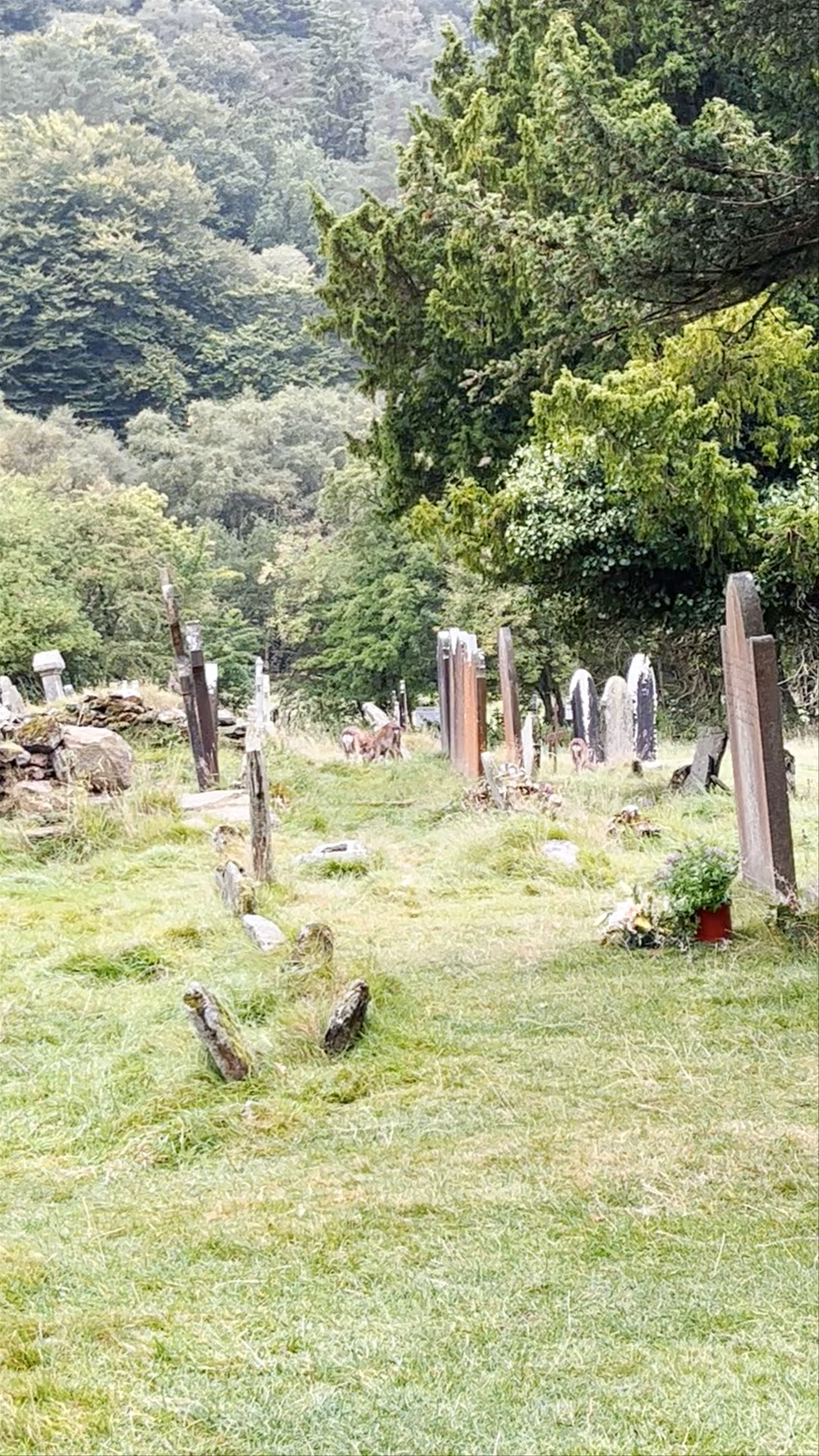 Glendalough Visitor Centre