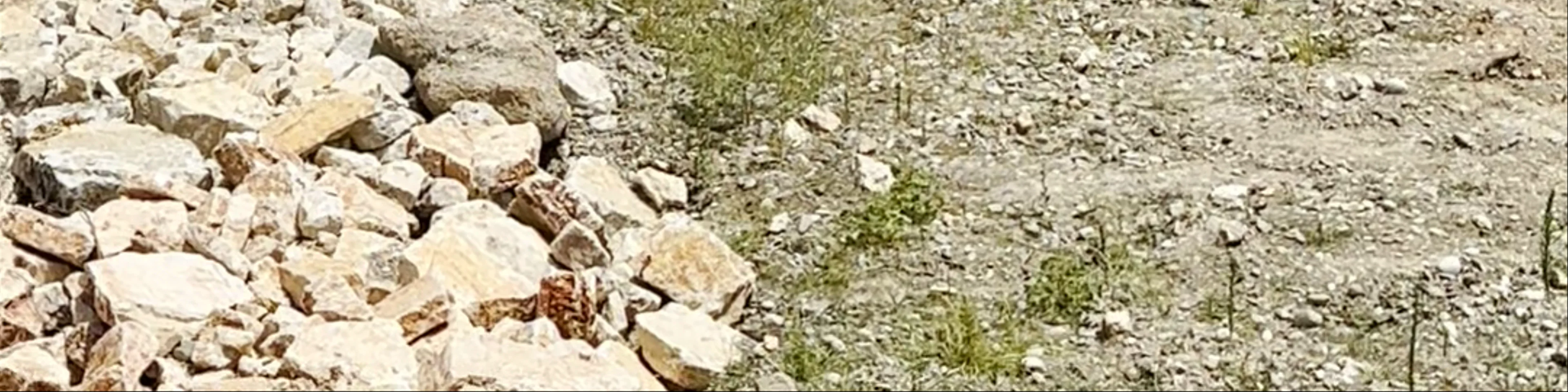 Pika turistike Tomor