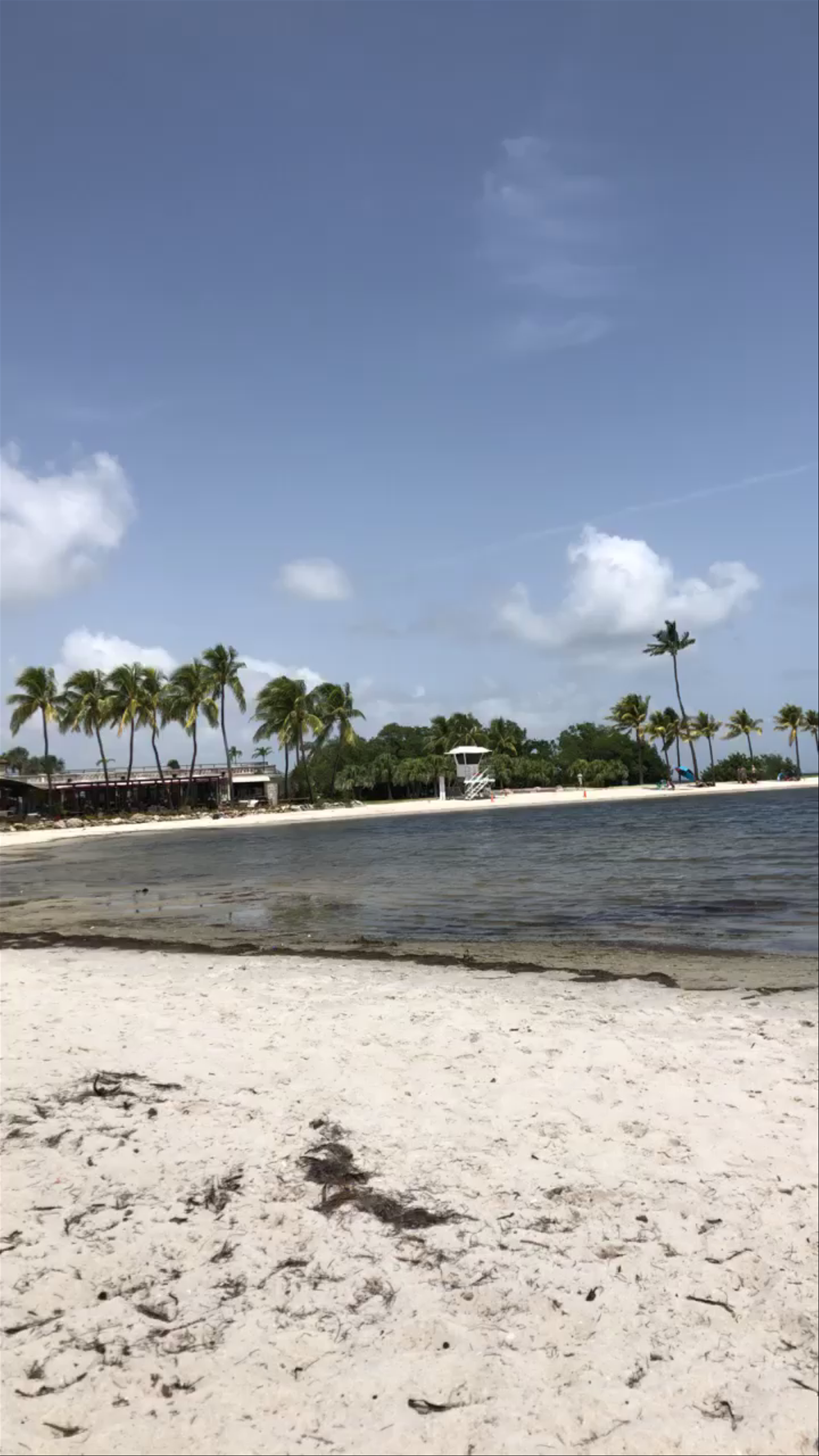 Matheson Hammock Park